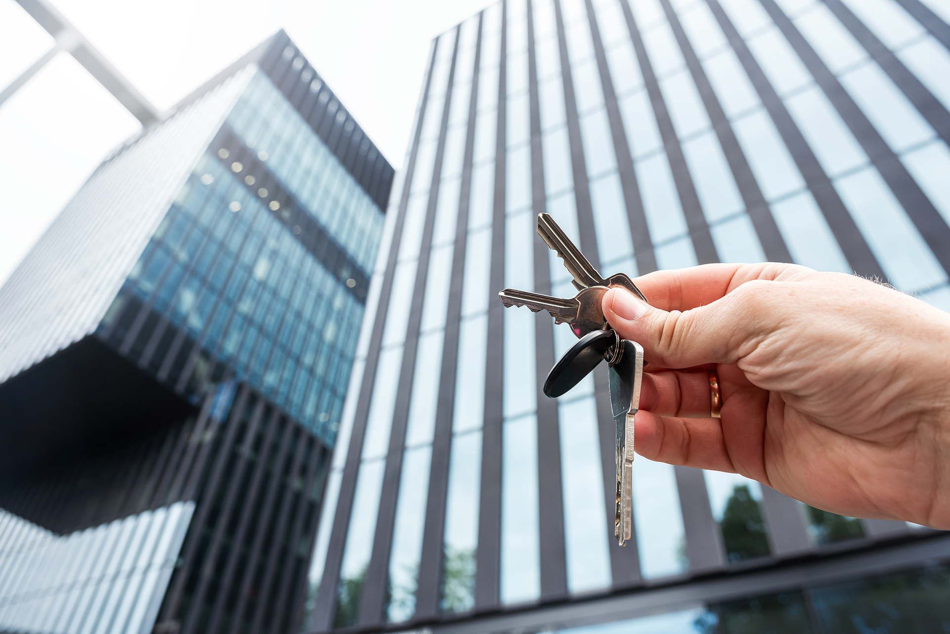 Relocation and real estate firms